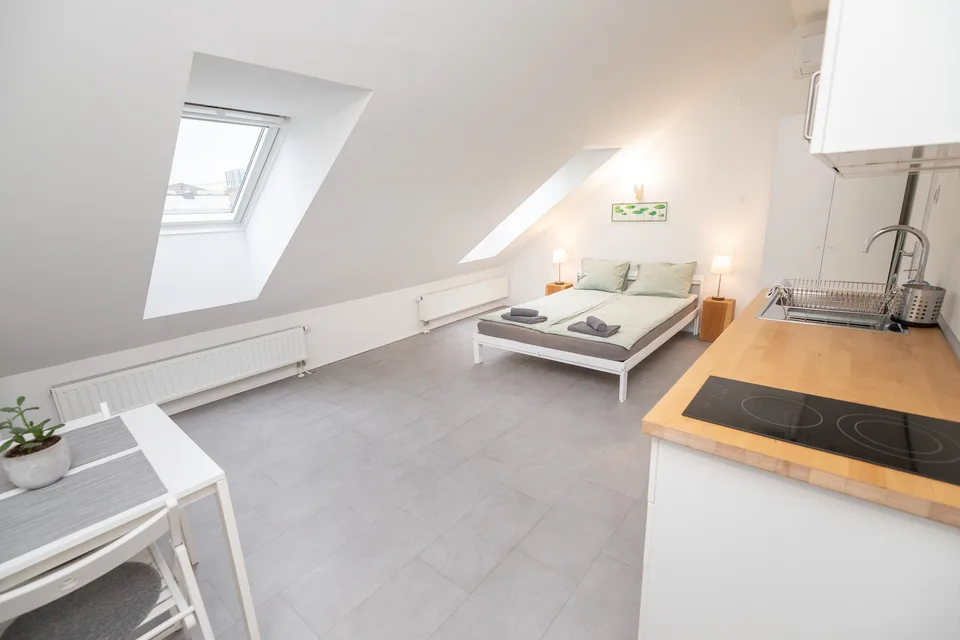 Woody 1 attic studio apartment in Zagreb with a skylight, double bed and kitchenette